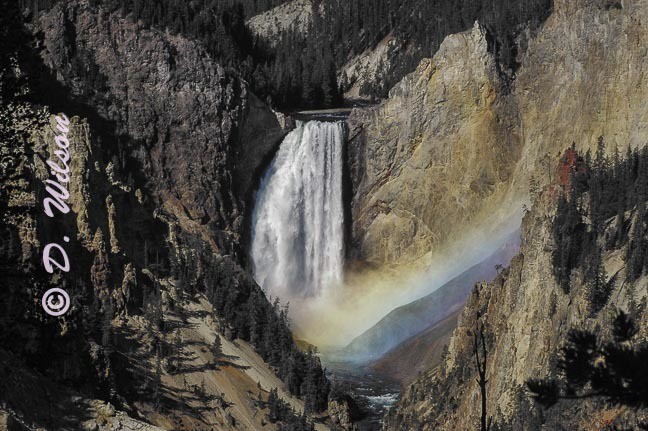 Yellowstone Lower Falls Rainbow, Wy --  starting at