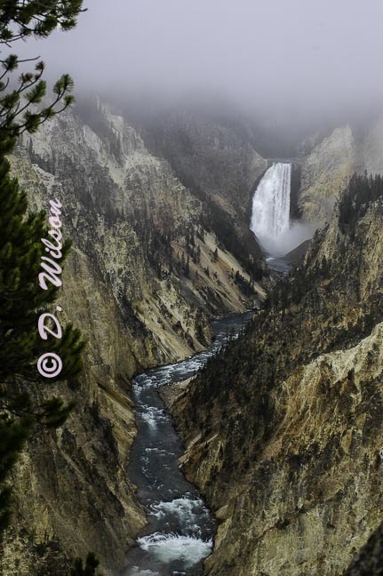 Yellowstone Lower Falls 1, Wy --  starting at