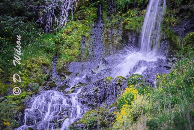 Crater Lake Vidae Falls, Or  --  starting at