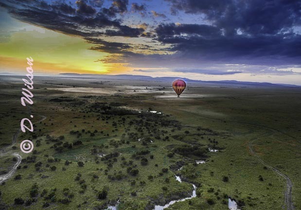 Sunrise Over the Serengeti