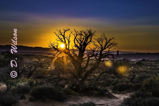 Sunset Arches Nat&#39;l Park, Utah   --  starting at