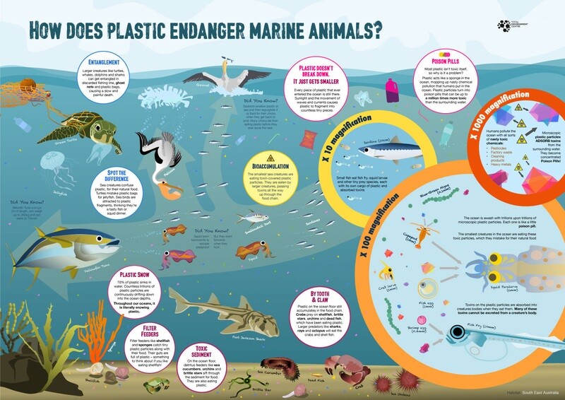 How Does Plastic Endanger Marine Animals
