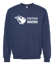 Navy Sweater