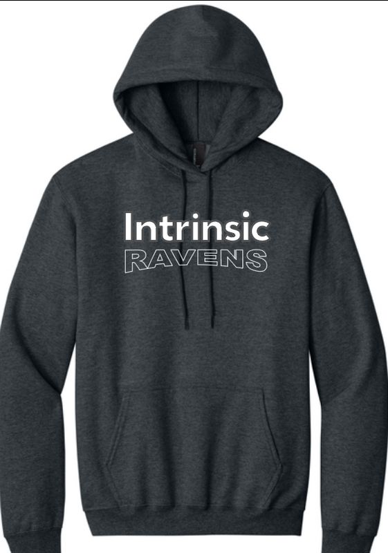 Ravens Dark Heather Grey hoodie DT  Campus