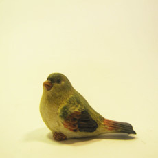 Vogel grün