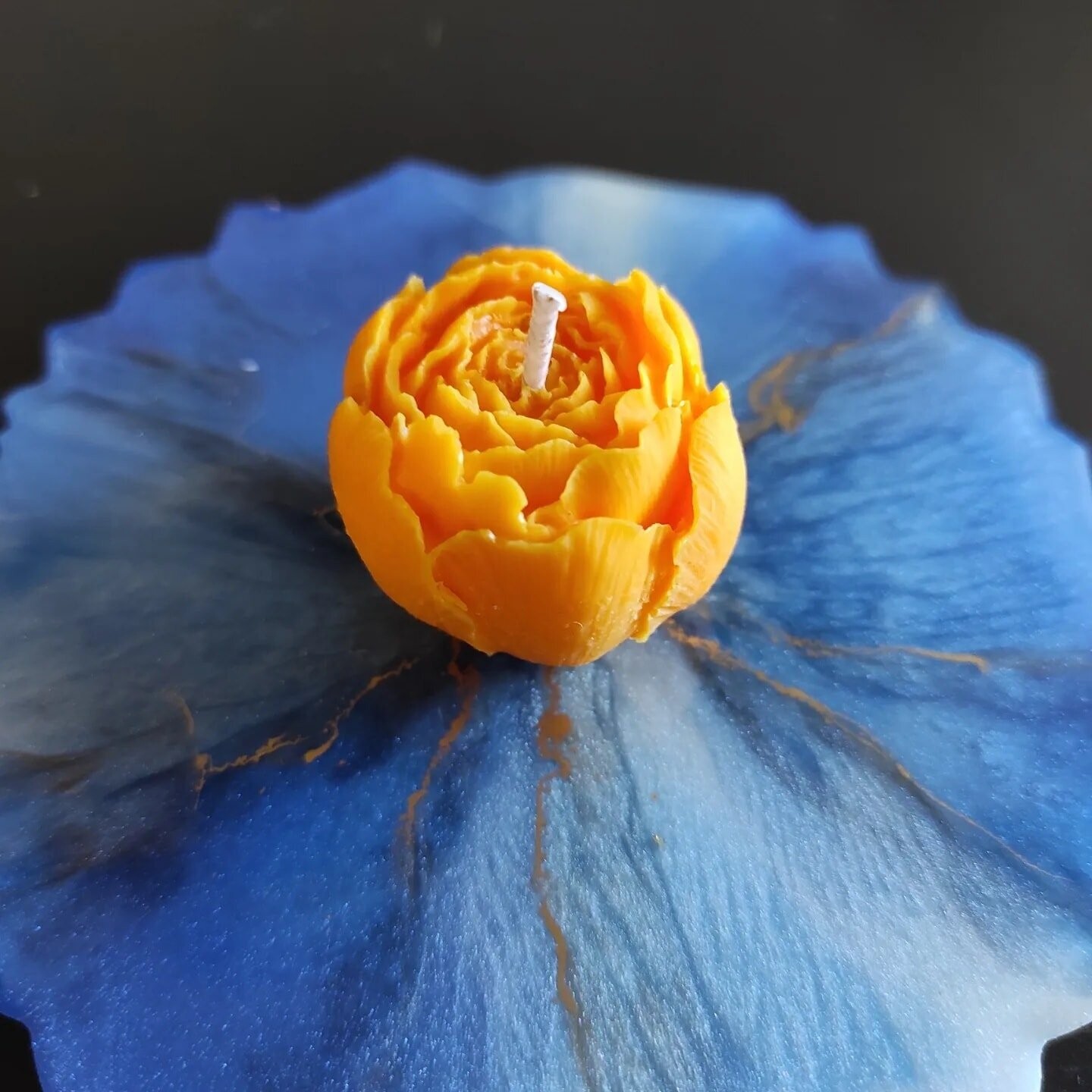 Petite pivoine