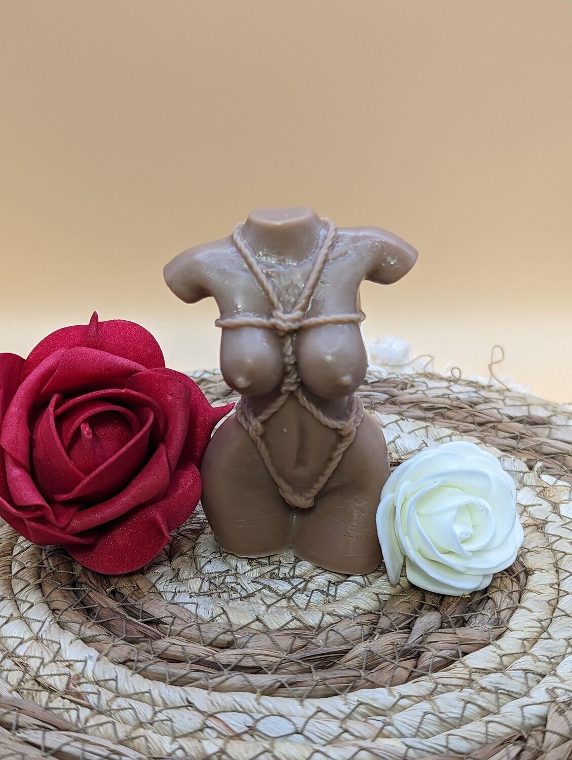 Corps Femme avec corde