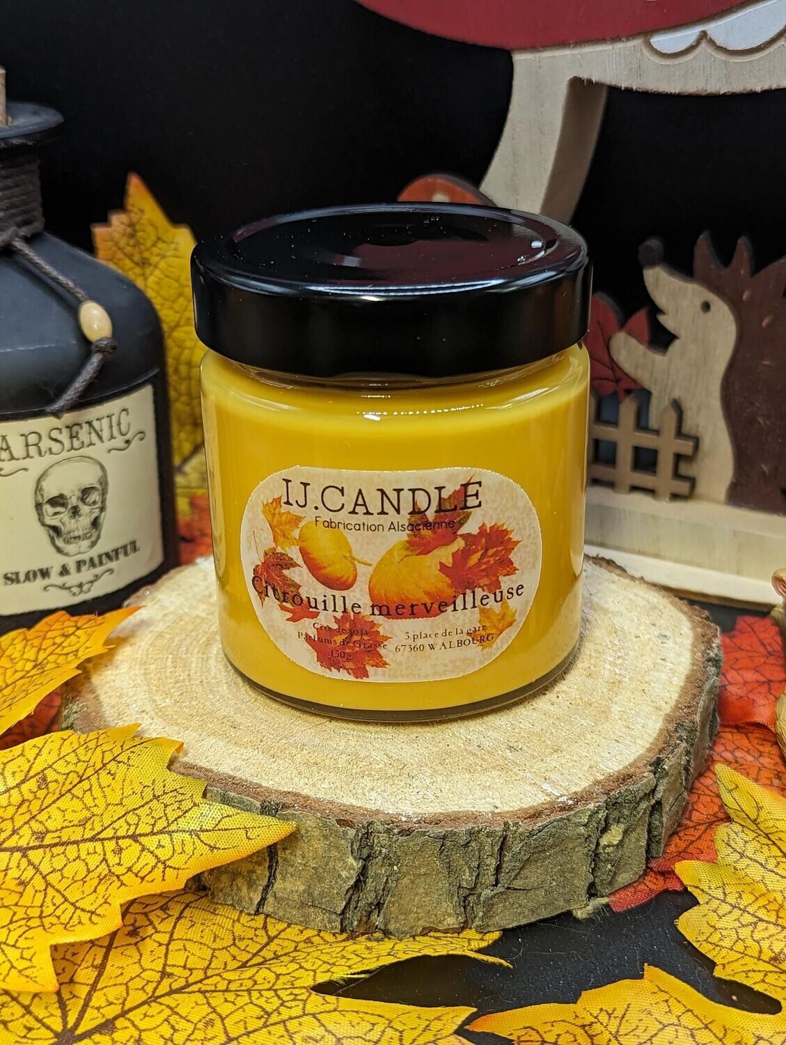 Citrouille Merveilleuse