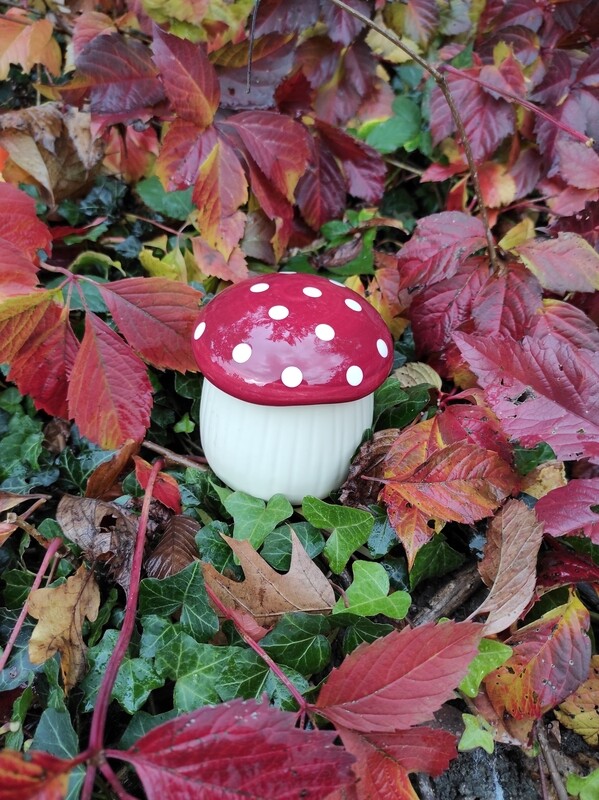 Champignons