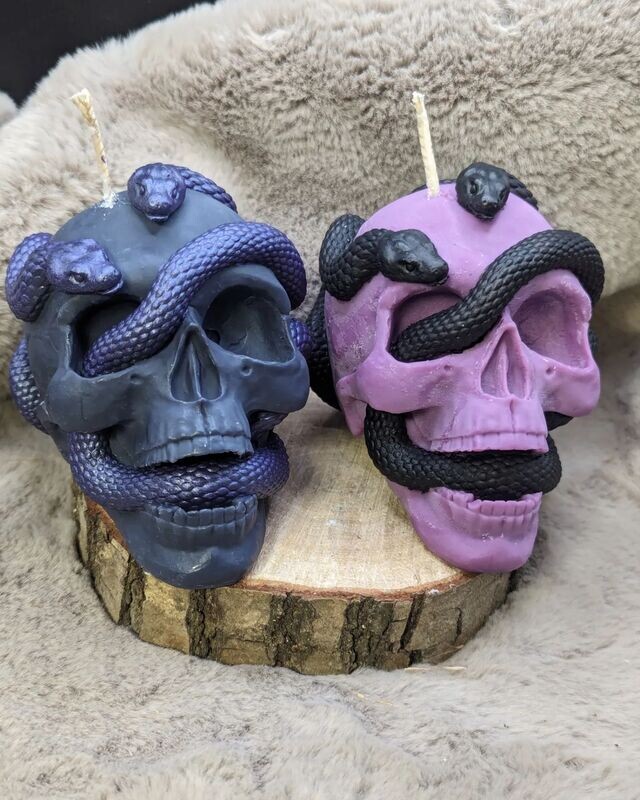 Grand crâne 2 serpents