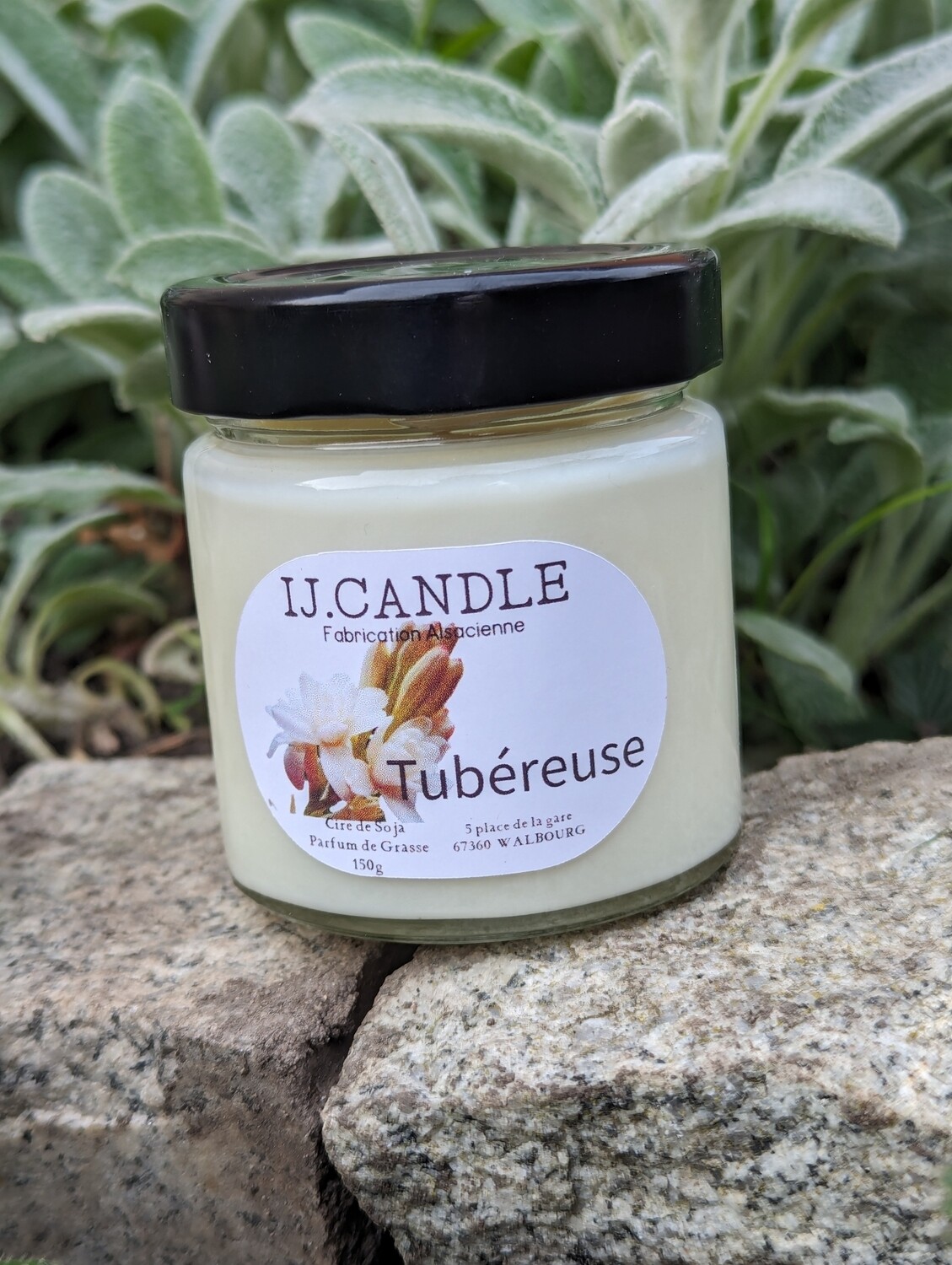 Tubéreuse