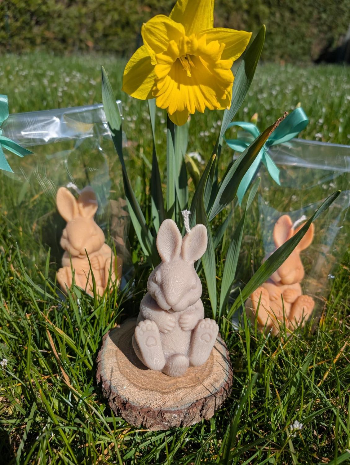 Lapin de pâque