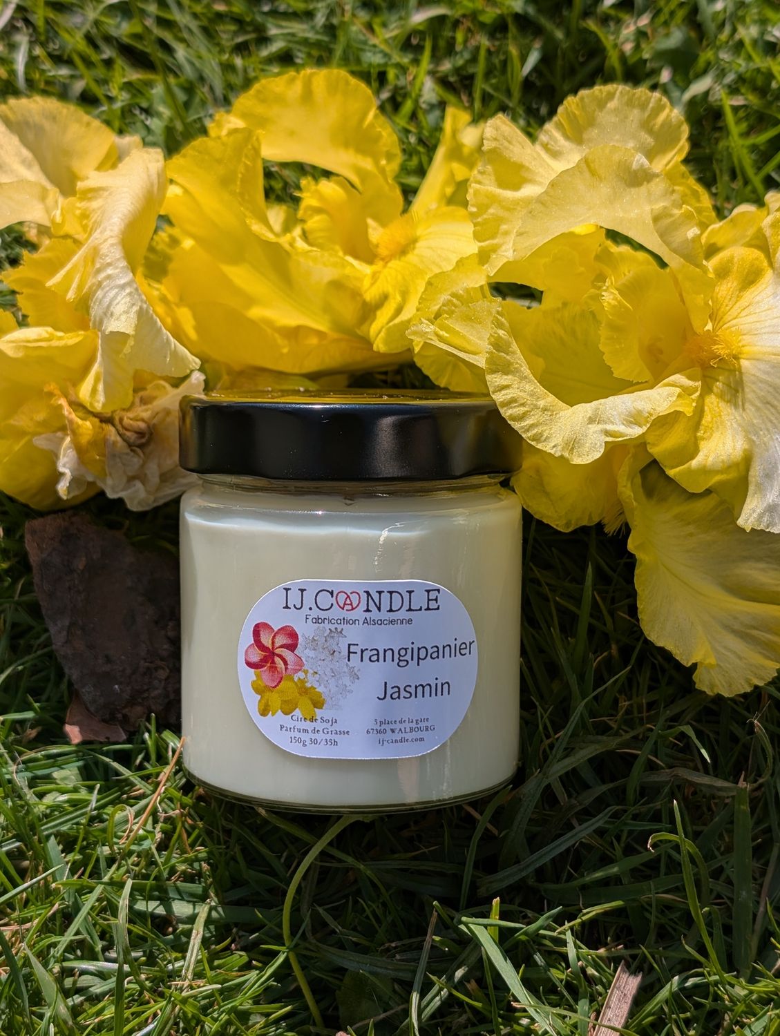 Frangipanier & Jasmin Frangipanier & Jasmin