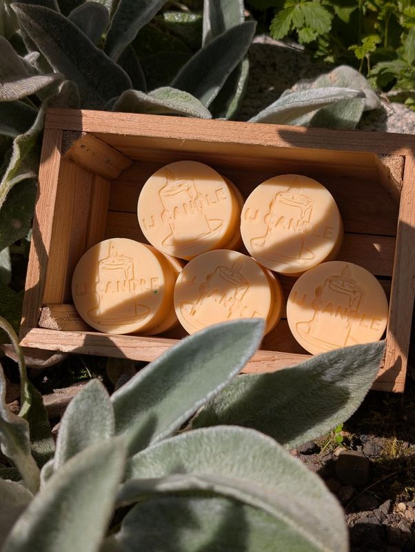 Coco Mangue