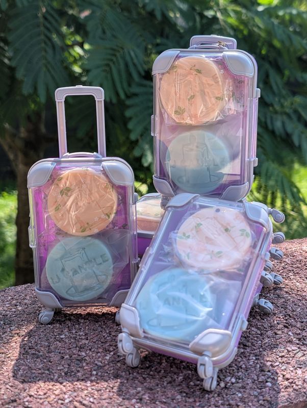 Valise Violette