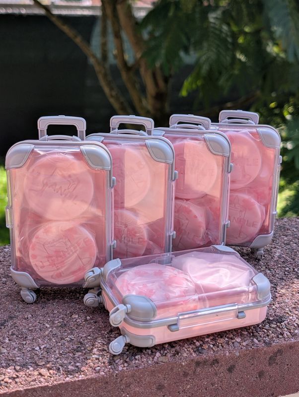 Valise rose