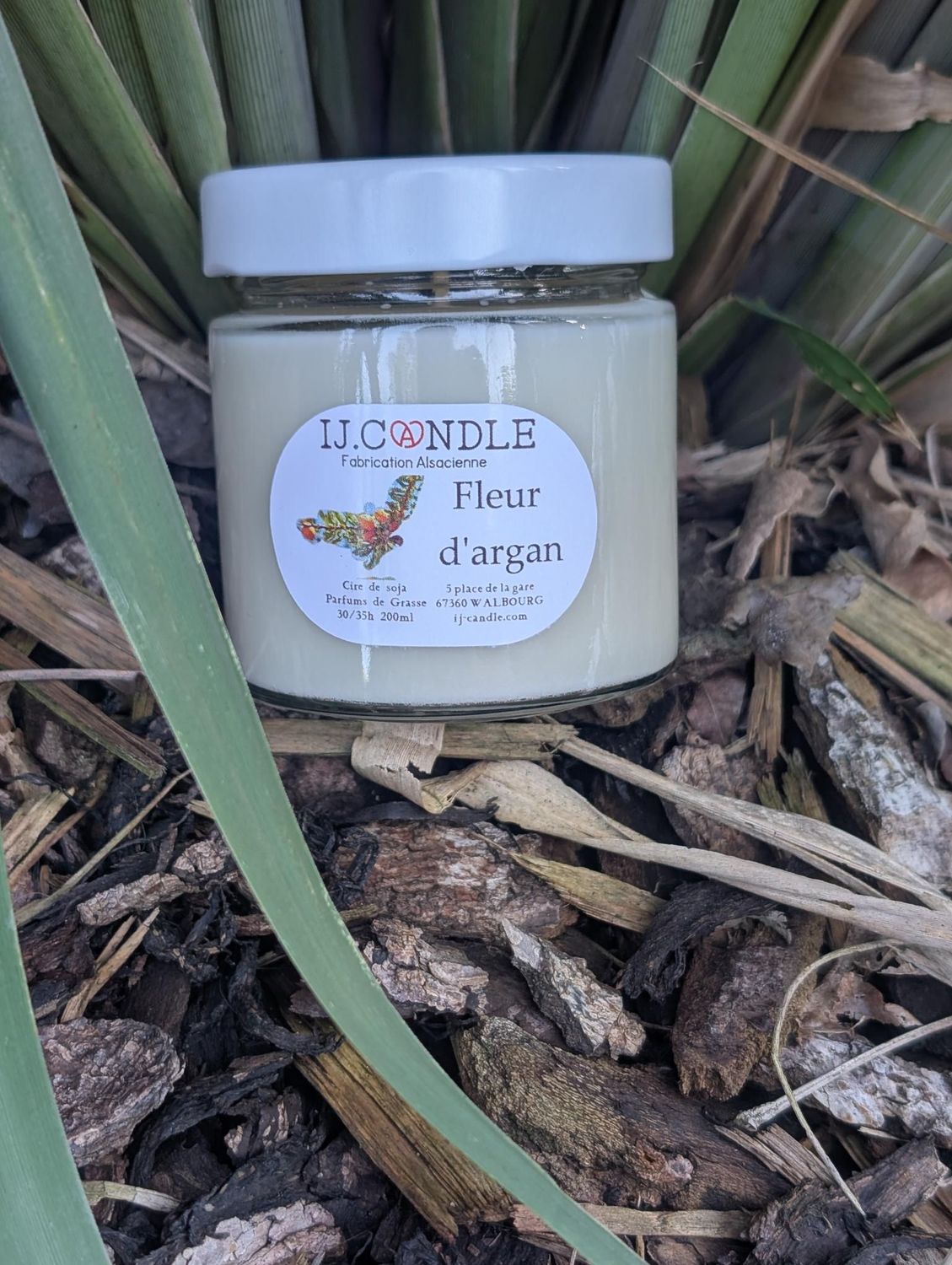 Fleur d'argan