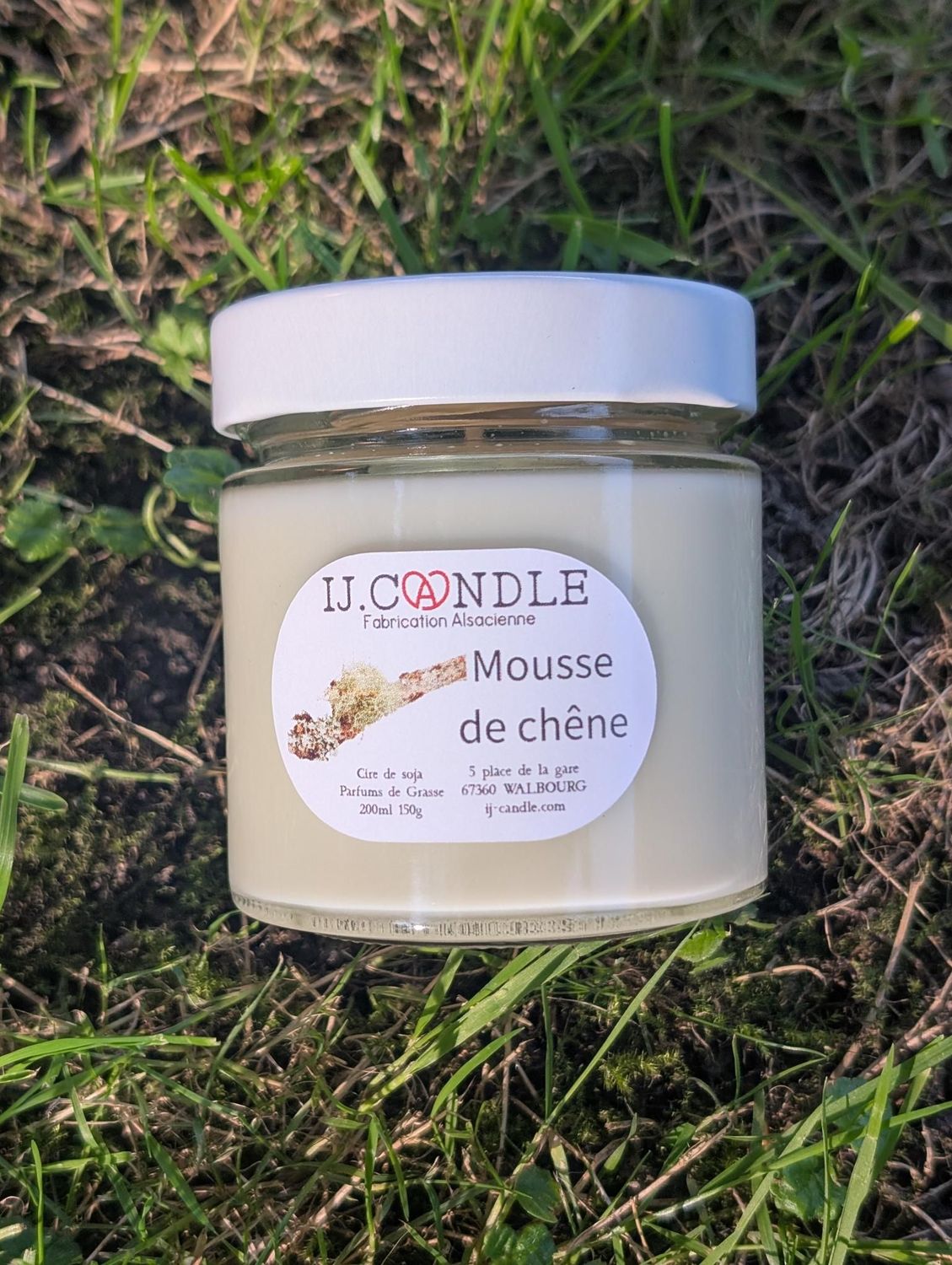 Mousse de chêne Mousse de chêne