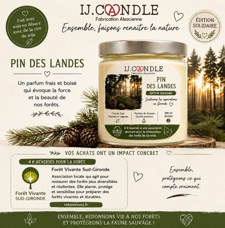 Pins des Landes