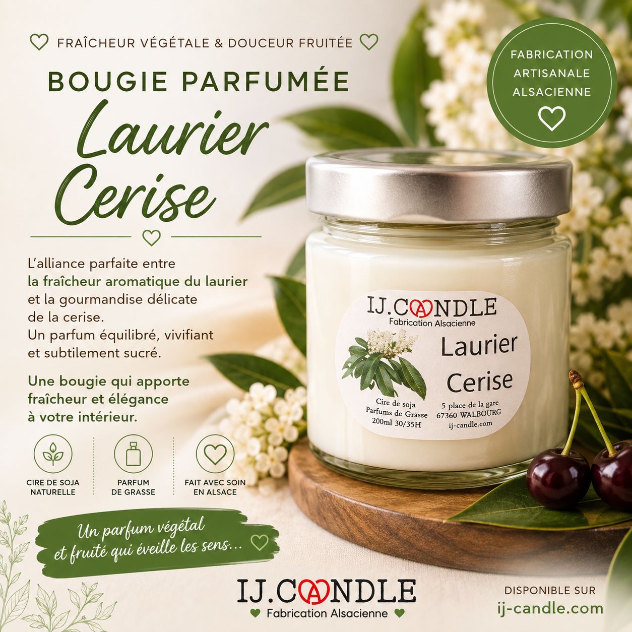 Laurier cerise Laurier cerise