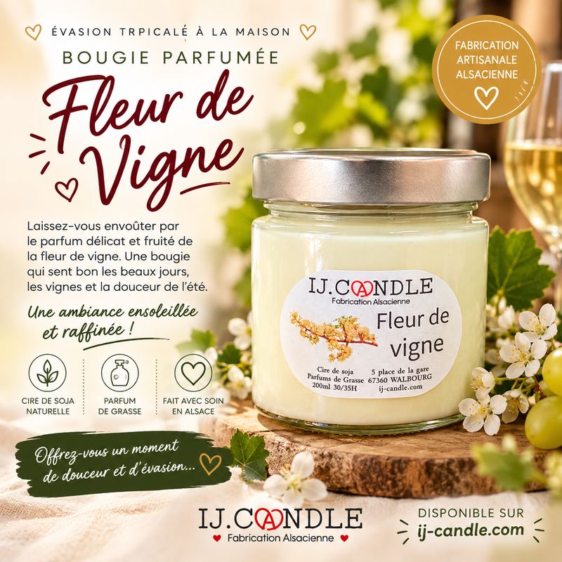 Fleur de vigne