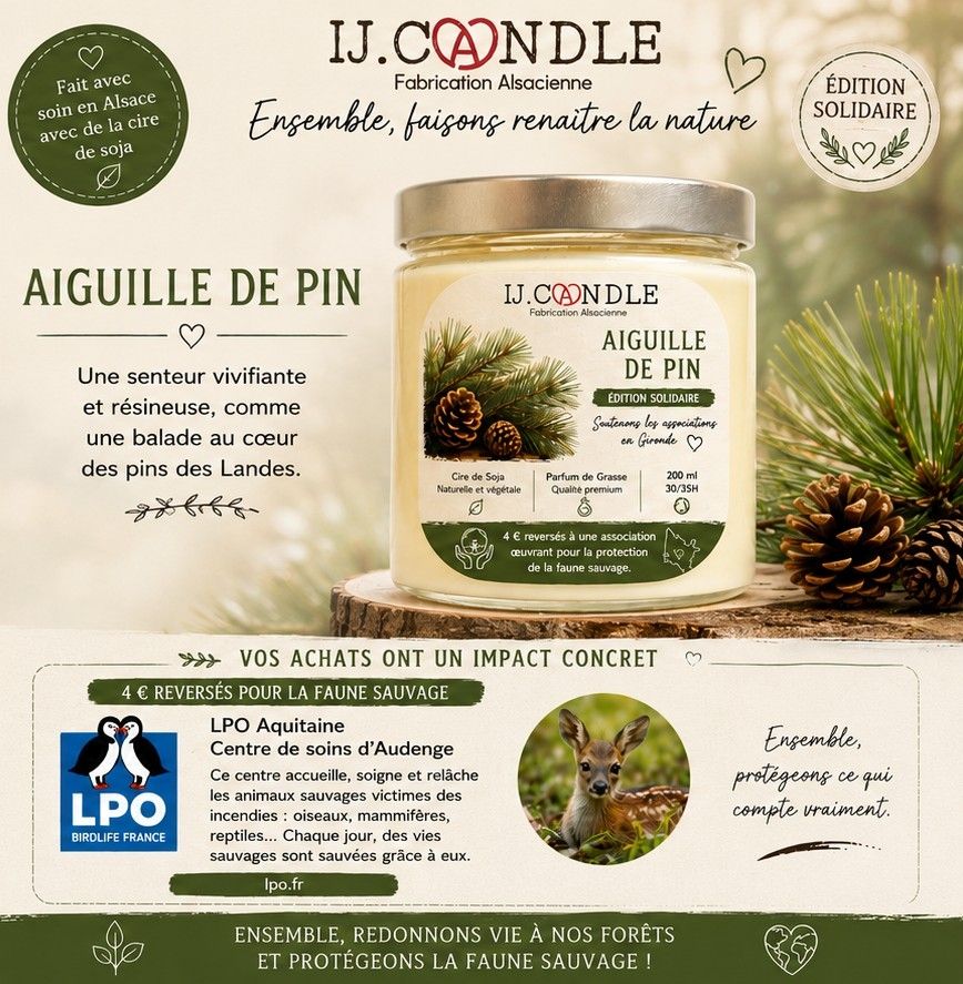 Aiguilles de pin