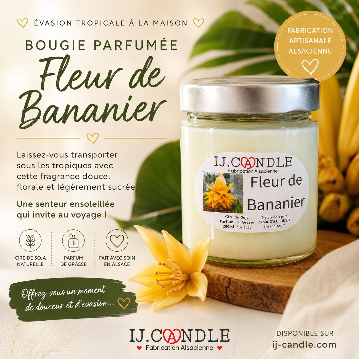 Fleur de bananier Fleur de bananier