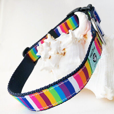 Colorful striped beach dog collar