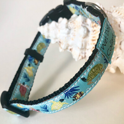 Coral Reef Narrow Dog Collar