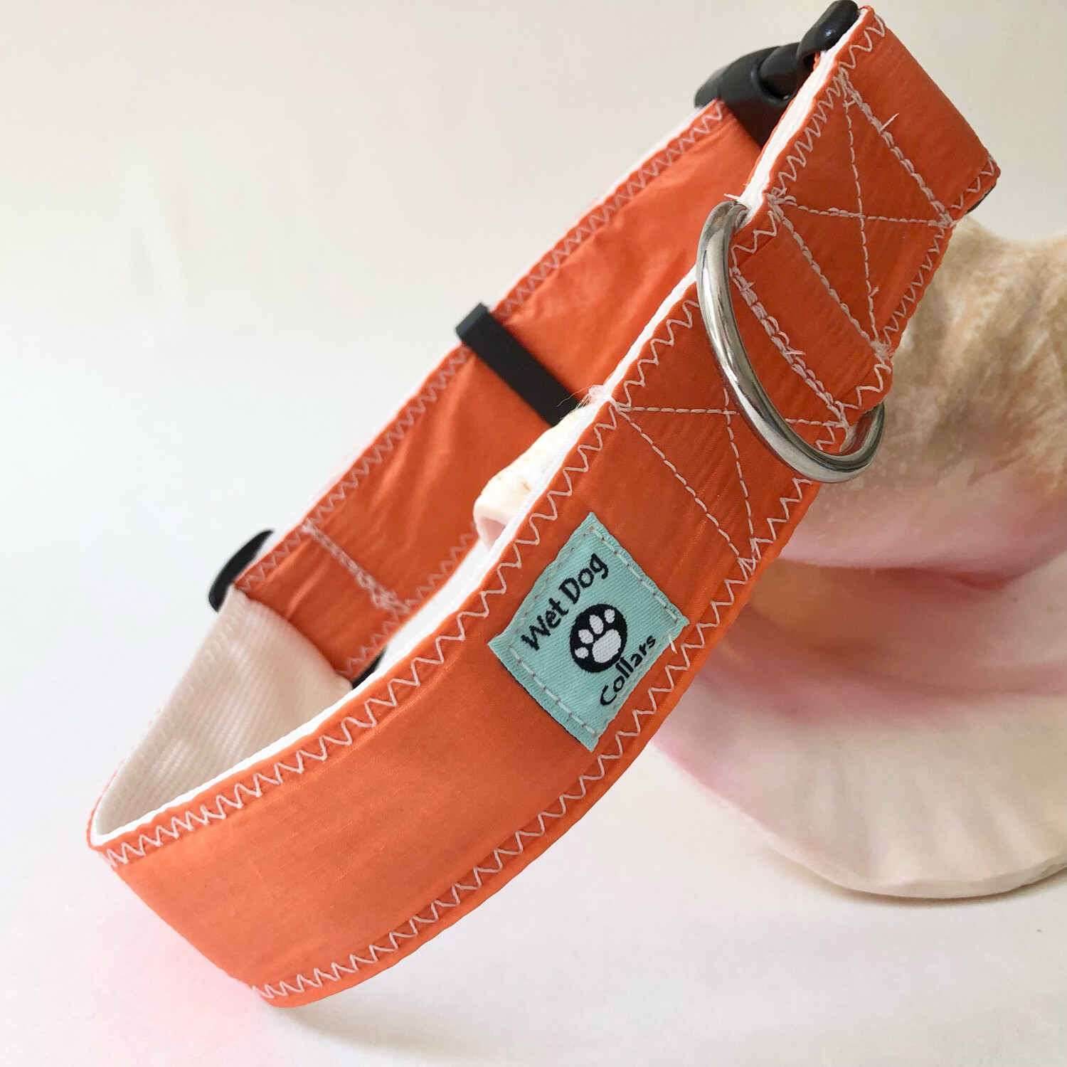 Spinnaker Sail Wide Dog Collar