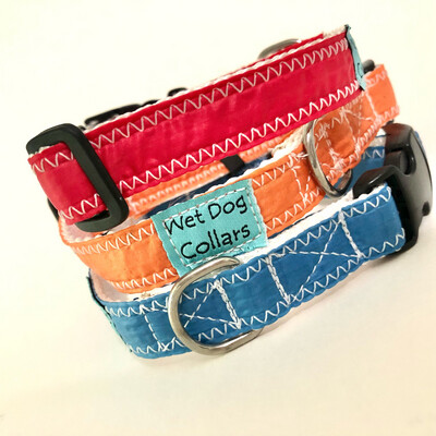 Spinnaker Sail Narrow Dog Collar