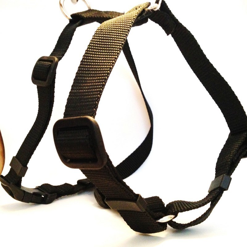 Roman Dog Harness Basic   Small-Large