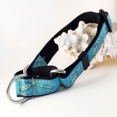 Martingale Collars