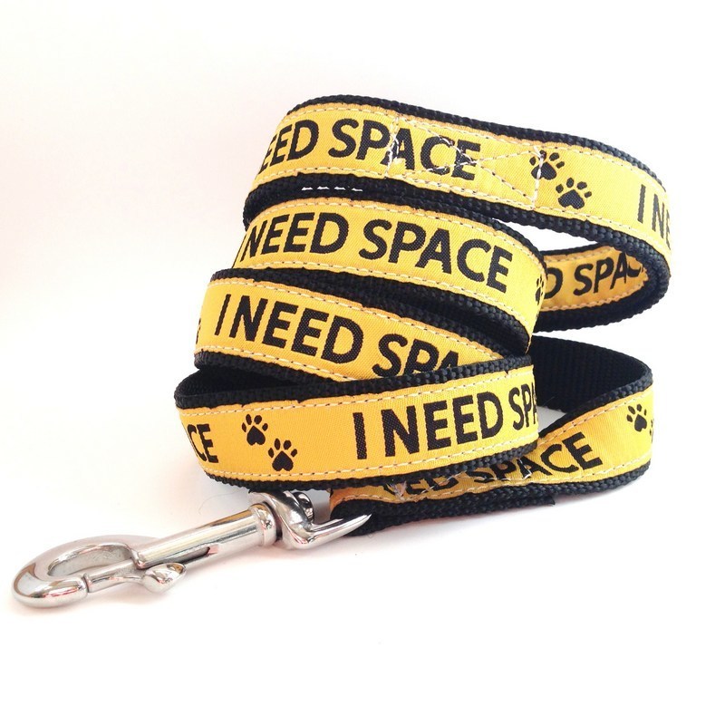 Need Space Dog Leash - Yellow Dog Project