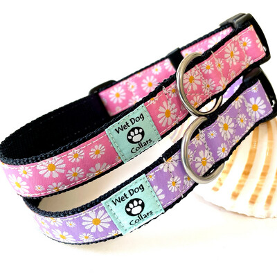 pink and purple with daisies dog collar