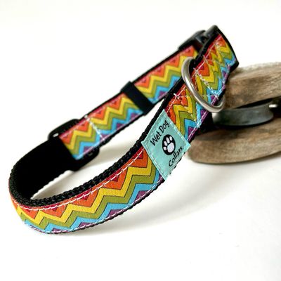 Chevron Rainbow Dog Collar