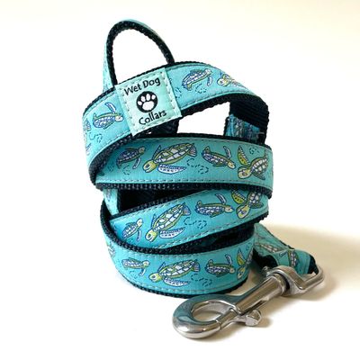 Sea Turtle Hatch Dog Collar