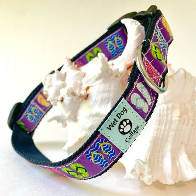 Boardwalk Flip Flops Dog Collar