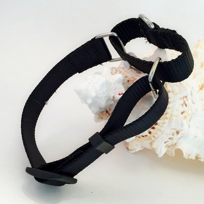 Martingale Basic