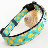 Pineapple beach dog collar