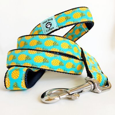 Pineapple Express Dog Leash