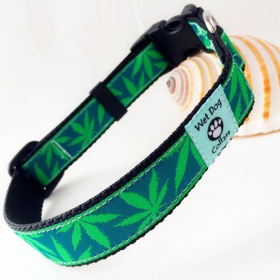 Green marijuana leaf beach dog collar