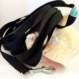 20&#39; Lightweight Long Beach Leash