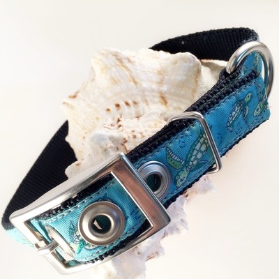 Buckle Collar Upgrade