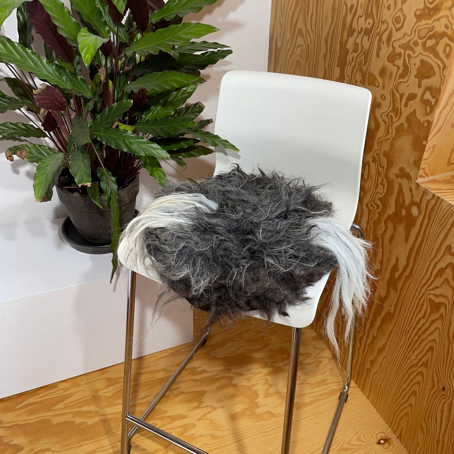 Sitzkissen Sitzkissen "PommSchnuck" dunkelbraun/grau mit grau/weißen Strähnen