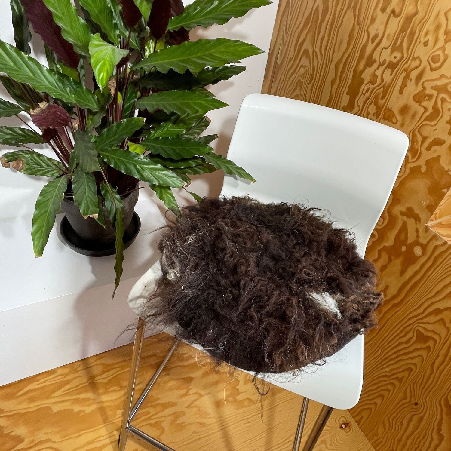 Sitzkissen Pommernfleck, dunkelbraun/grau mit kleinen weissen Fleckchen Sitzkissen Pommernfleck, dunkelbraun/grau mit kleinen weissen Fleckchen