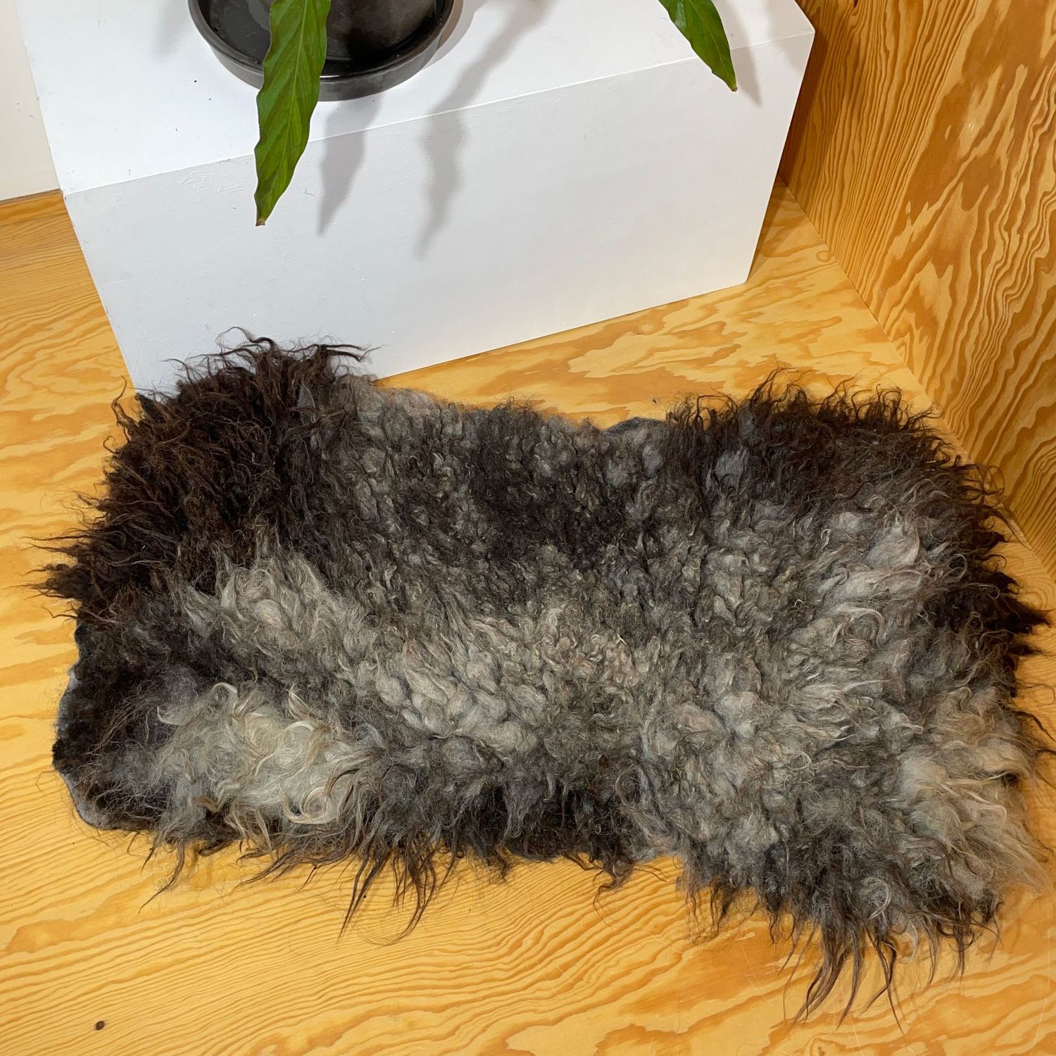 SALE - Schönes mittelgraues Fell vom Pommernschaf für Wand, Boden oder Sofa, ca 95 x 55cm.