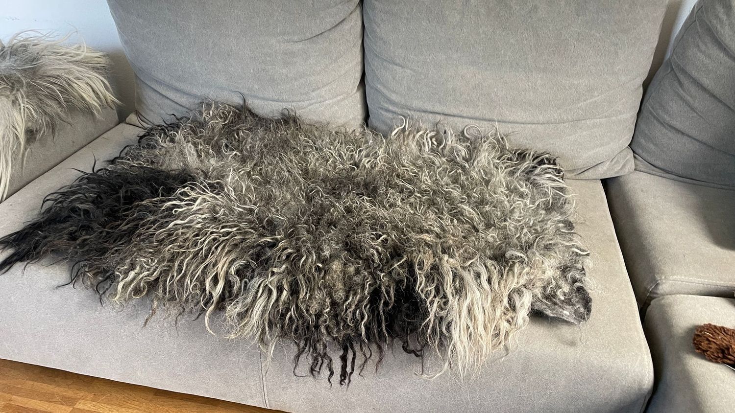 Zackelschaf einfach schön! ca75 x 115cm Zackelschaf einfach schön! ca75 x 115cm