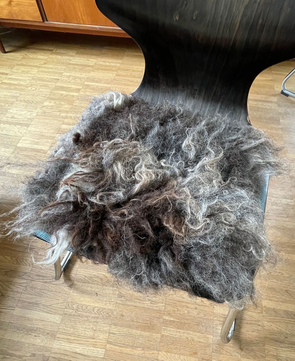 Quadrat – Sitzkissen vom Pommernschaf dunkelgrau mit hellen Akzenten Quadrat – Sitzkissen vom Pommernschaf dunkelgrau mit hellen Akzenten