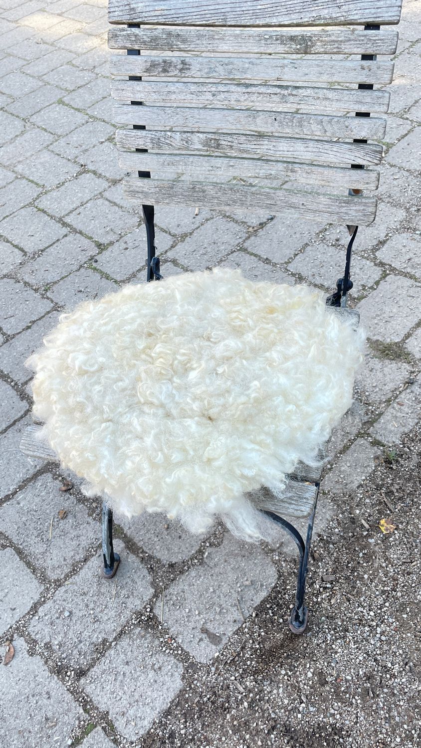 Extra dickes und großes weißes Sitzkissen vom Texel/Schnuckenmischling. Besonders fest und warm! Extra dickes und großes weißes Sitzkissen vom Texel/Schnuckenmischling. Besonders fest und warm!